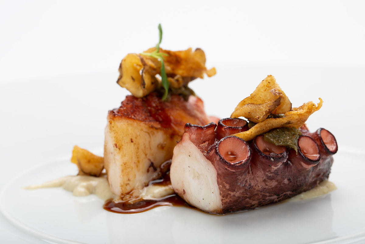 Octopus and fish at Comi 107