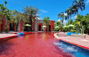 King Room with Pool View
