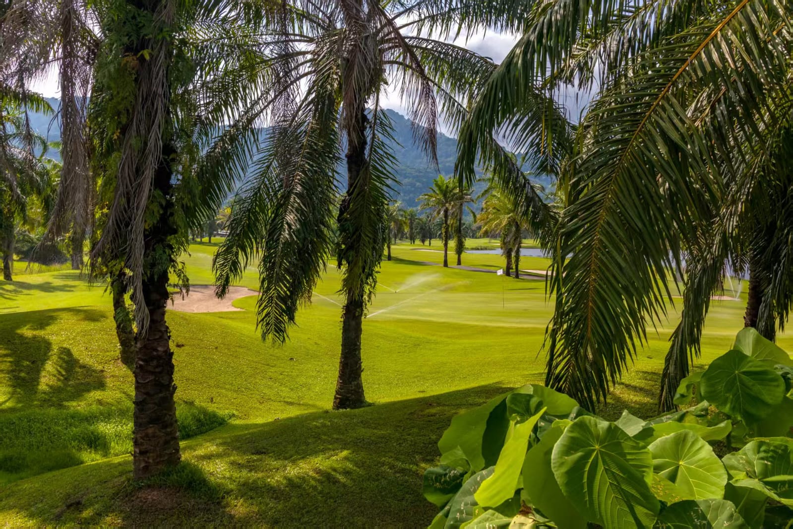 Elegant 4-Bedroom Villa for Sale