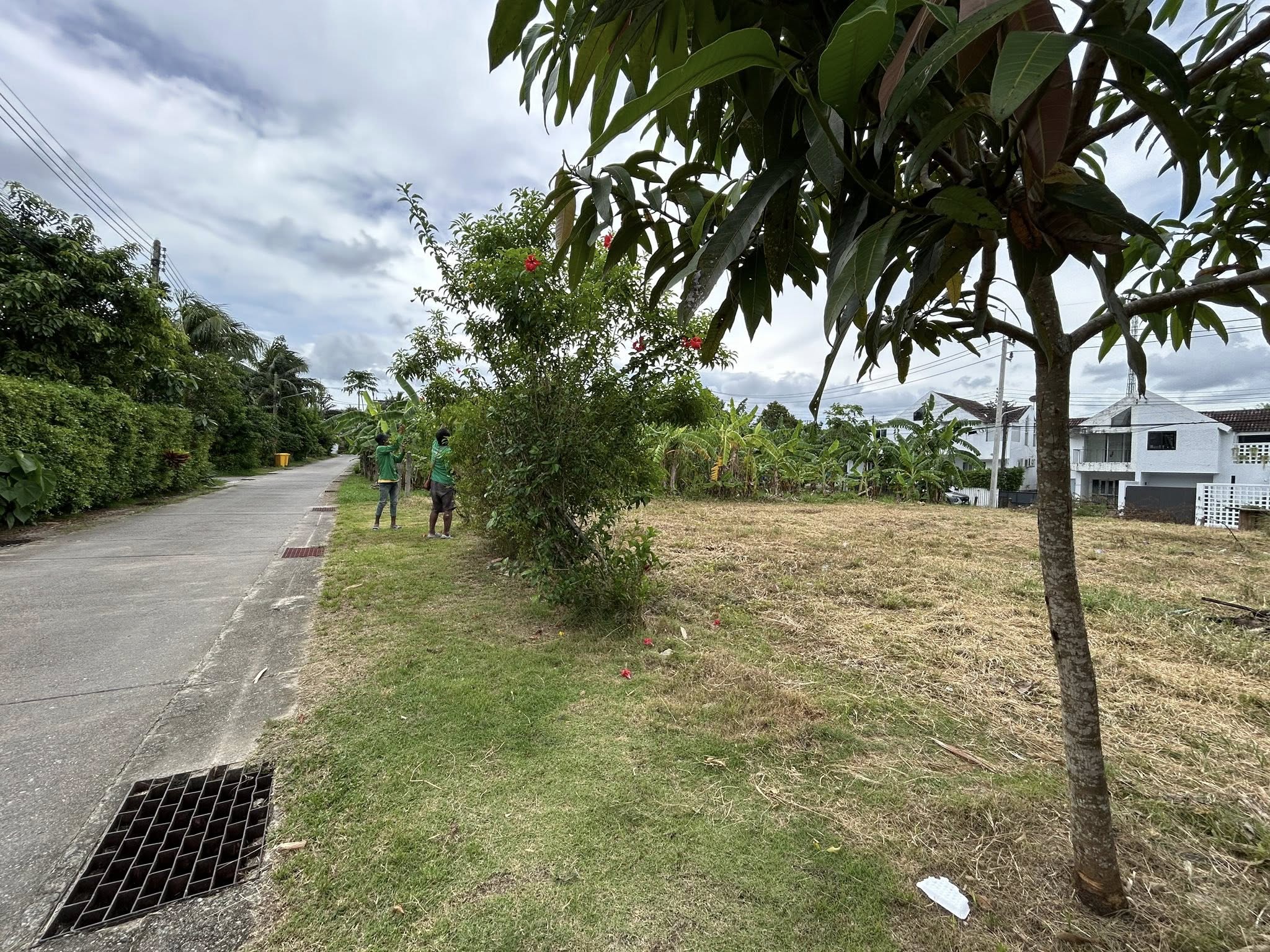 Land for Sale in Layan