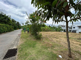 Land for Sale in Layan