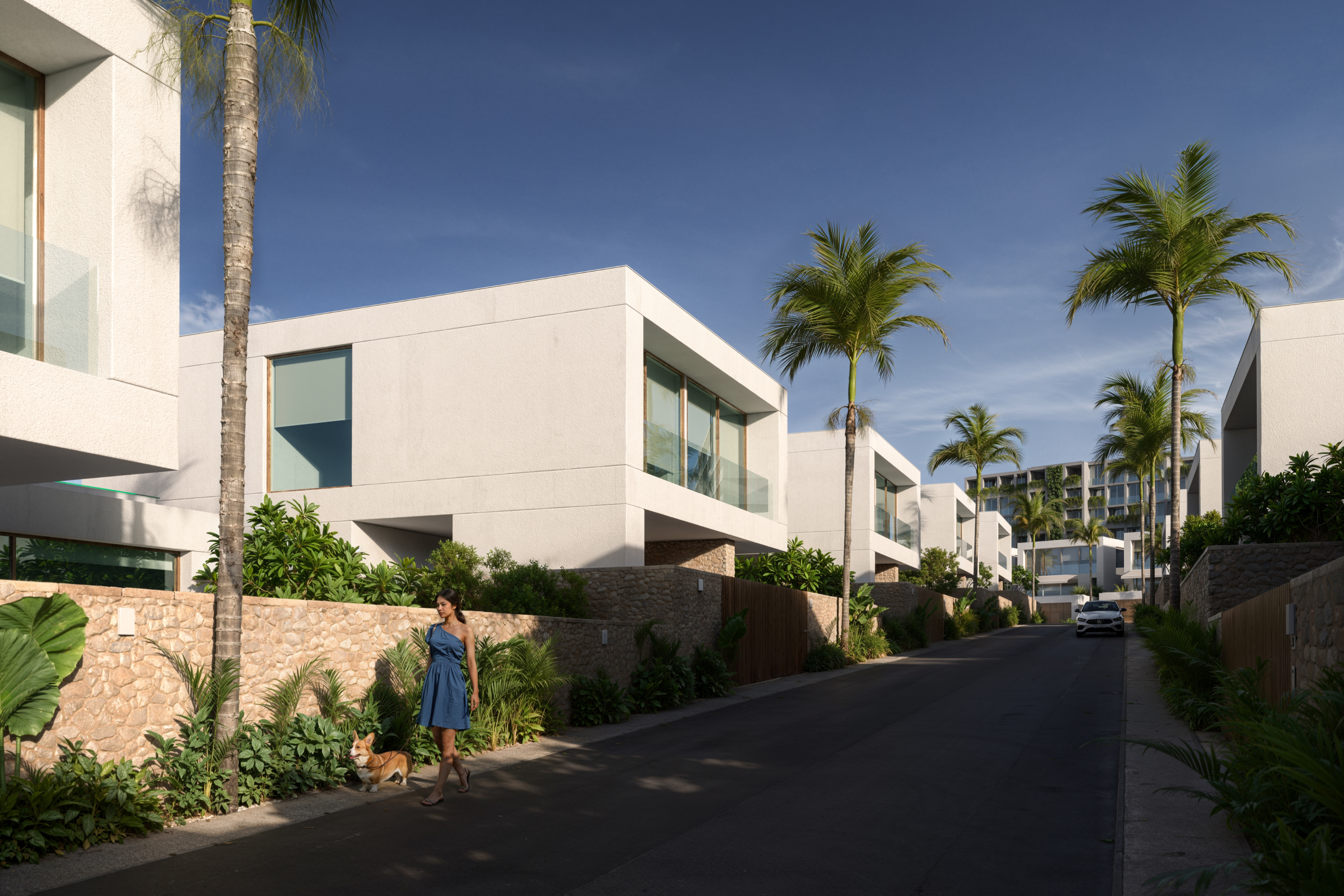 Modern Villa Complex