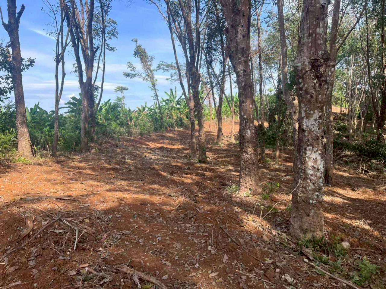 Prime Land in Laem Hin