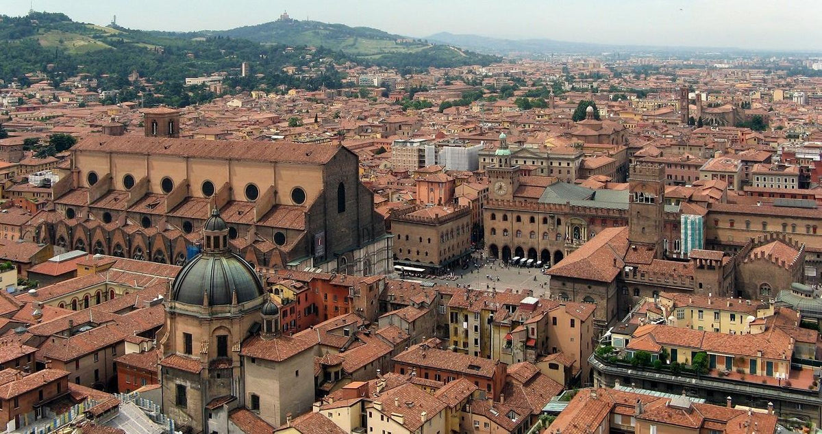 Bologna rooftops pictured on the Art Hotel Commercianti website