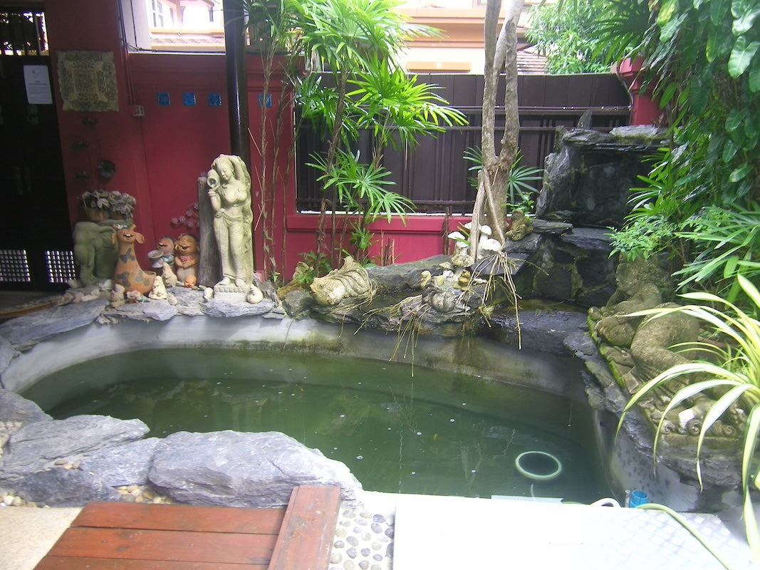 Amazing Pool Villa for Sale at Aroonpat Patong