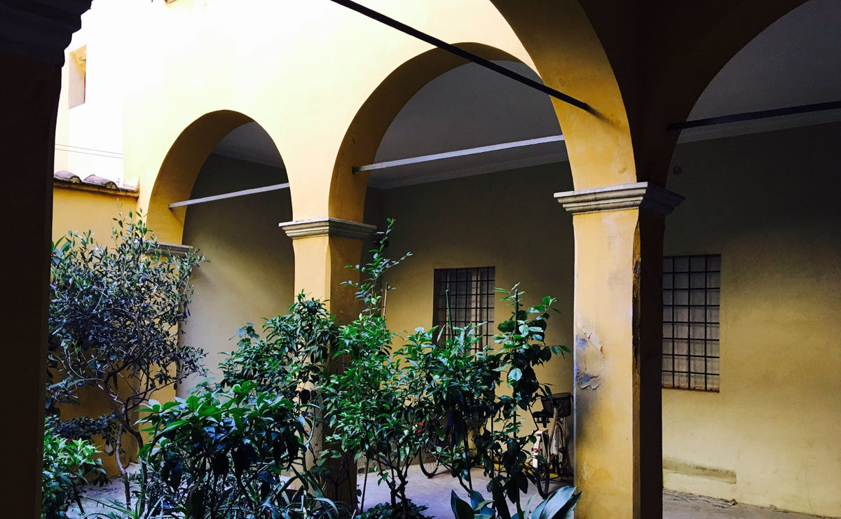 A porticoed courtyard with plants in Bologna