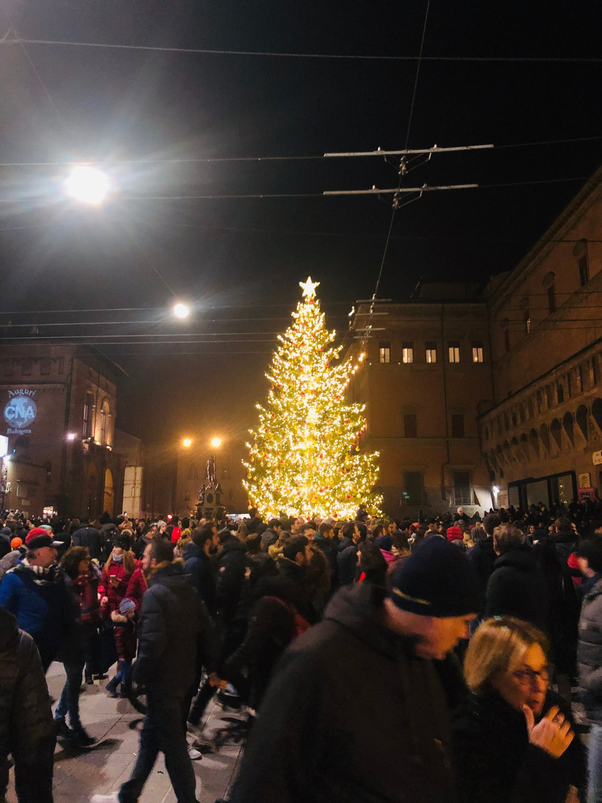 The Christmas tree in Piazza Maggiore