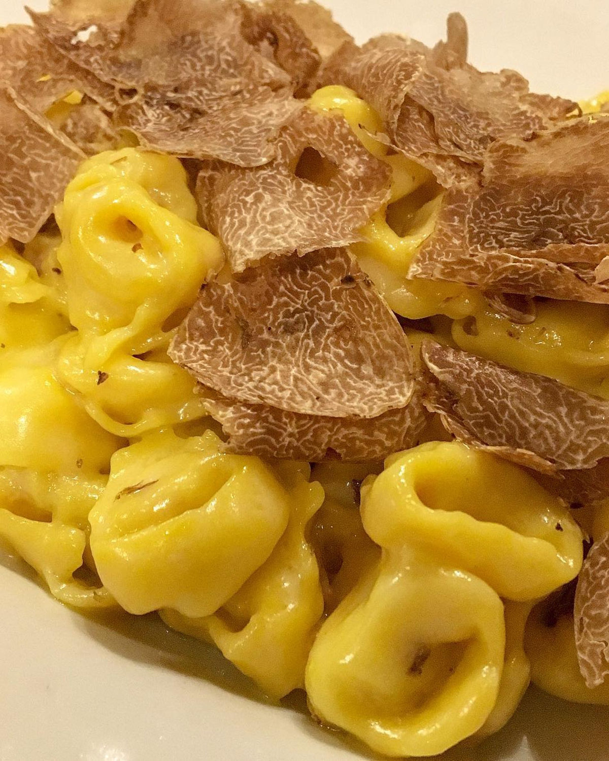 Tortellini with shaved truffle at Trattoria Trebbi