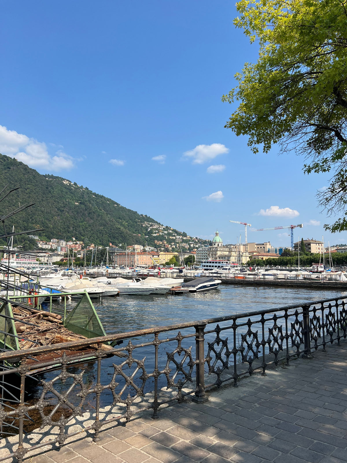 The lakefront railings and the harbour