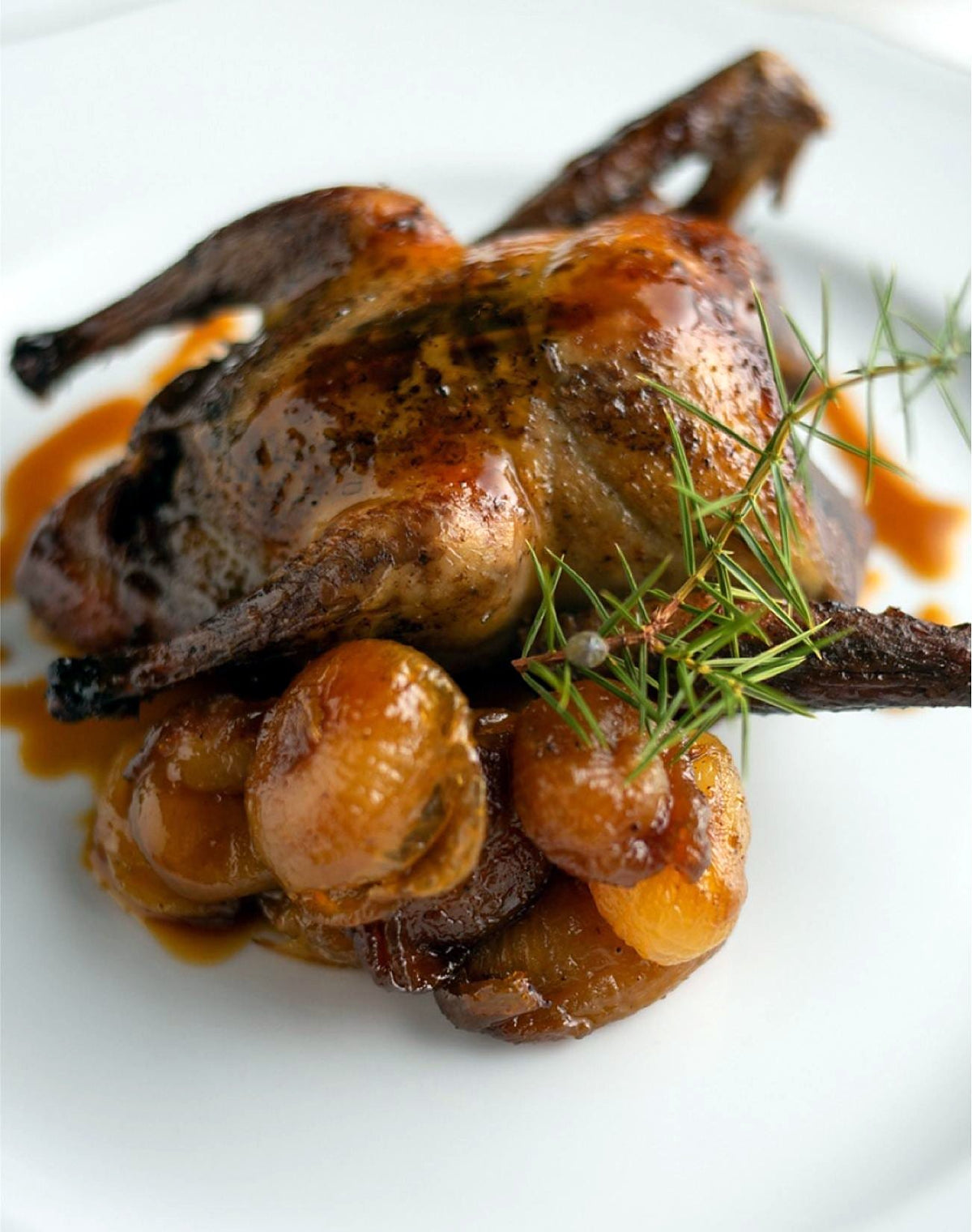 Stuffed pigeon, one of the iconic dishes of Cibrèo Ristorante