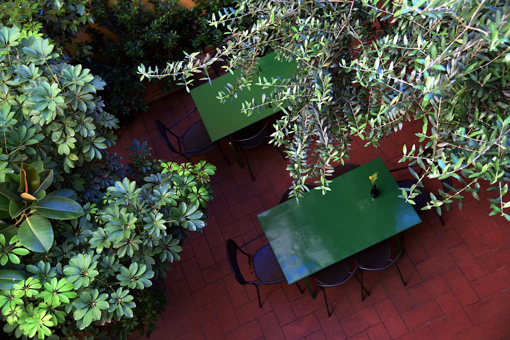 Indoor garden courtyard with tables among the greenery at Il Guelfo Bianco