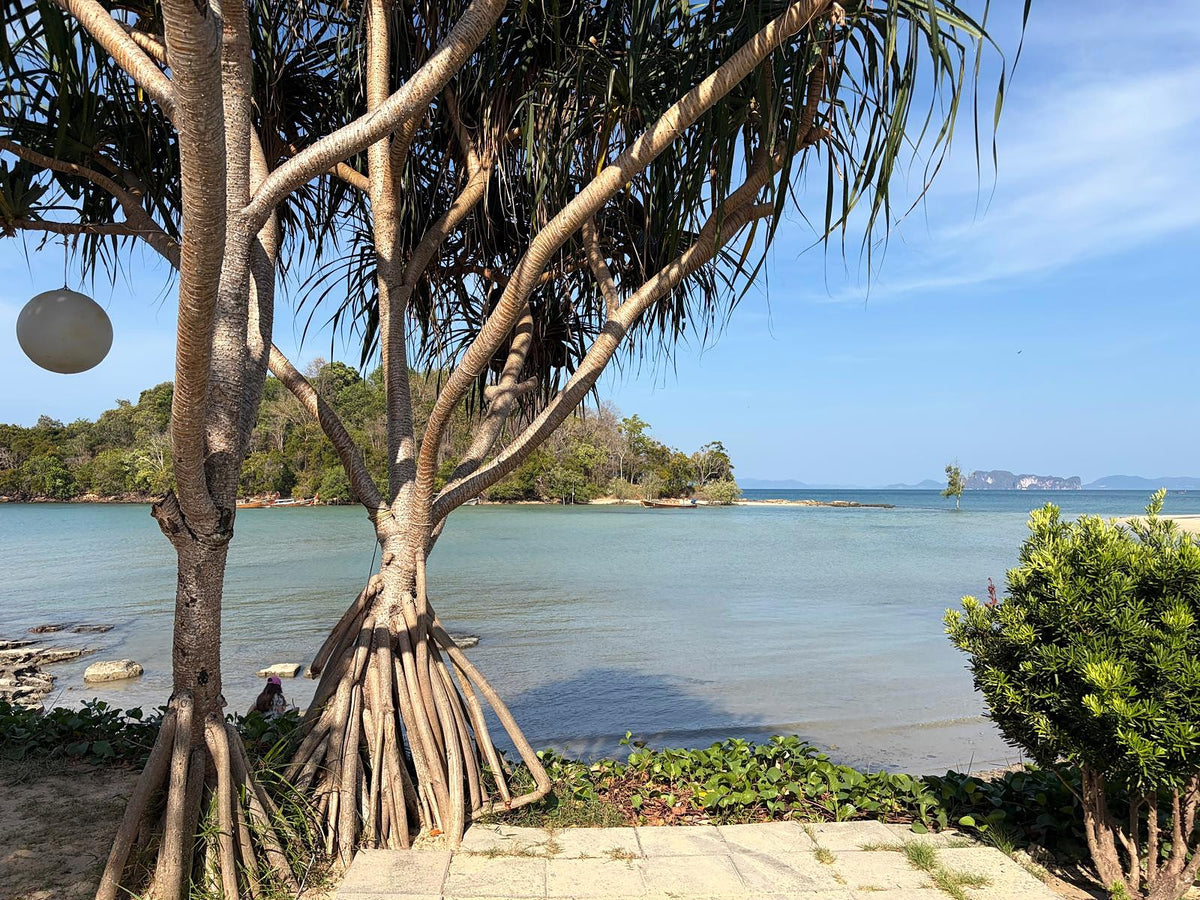Pandan trees framing a calm bay, with limestone islands on the horizon, Andaman coast