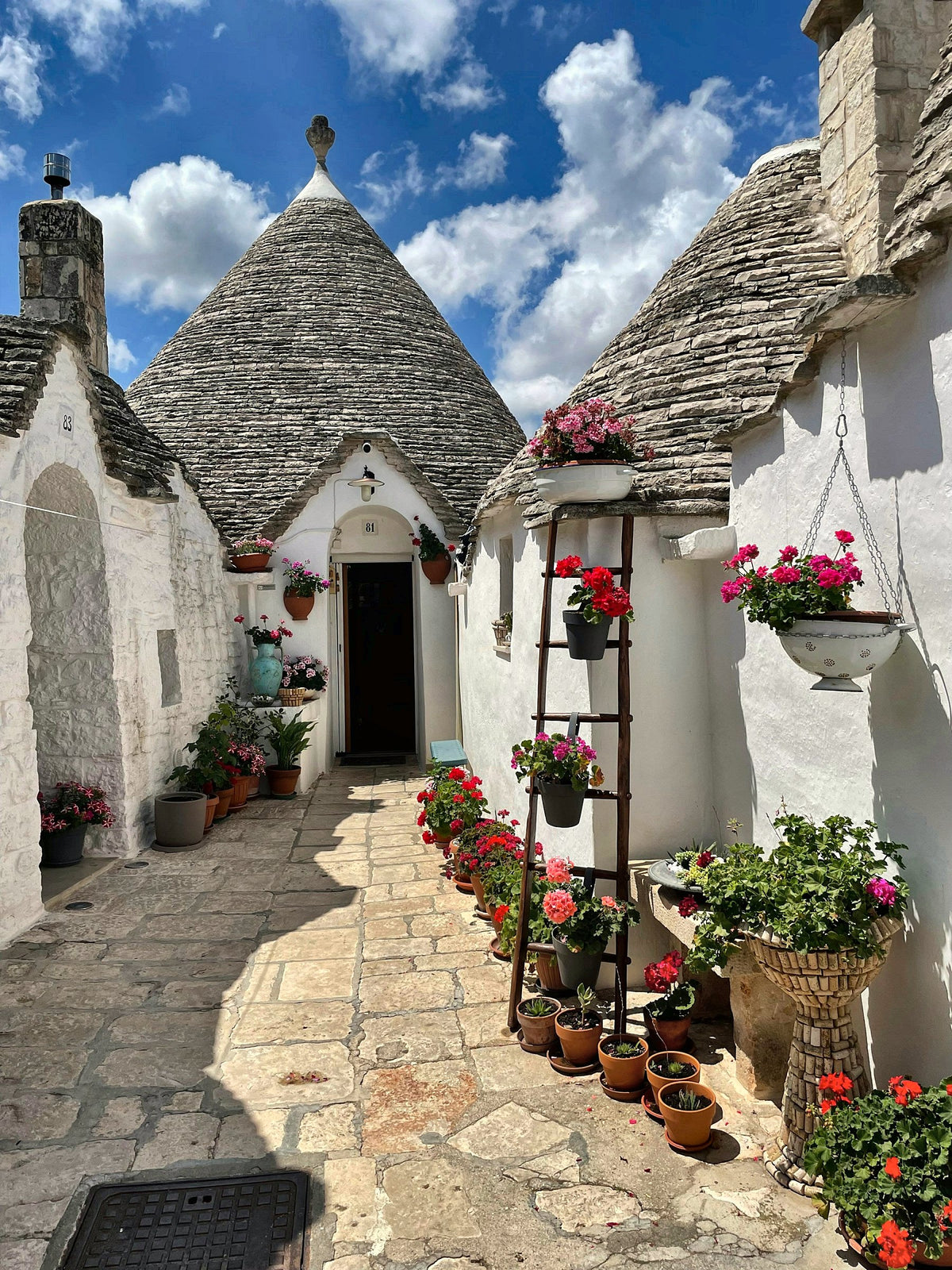 Trulli and potted geraniums in Alberobello
