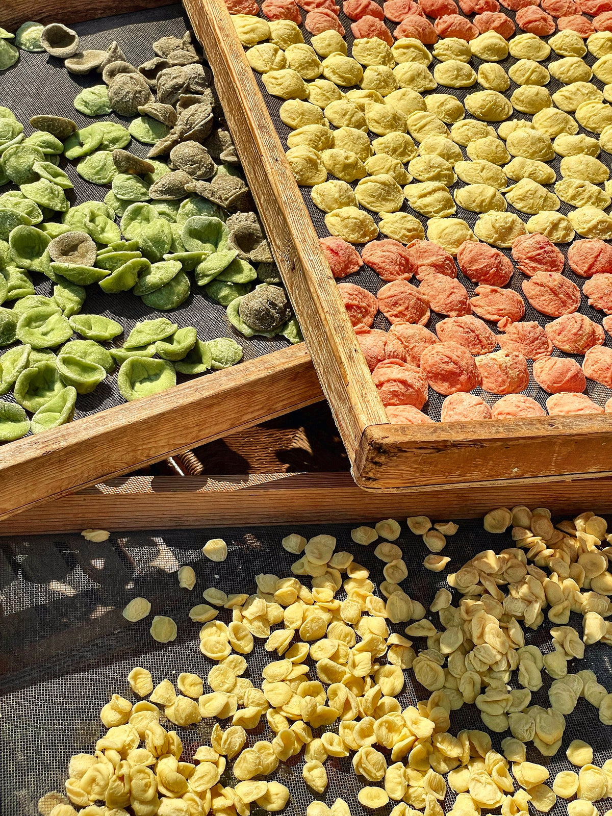 Trays of green, red and plain orecchiette drying in the sun
