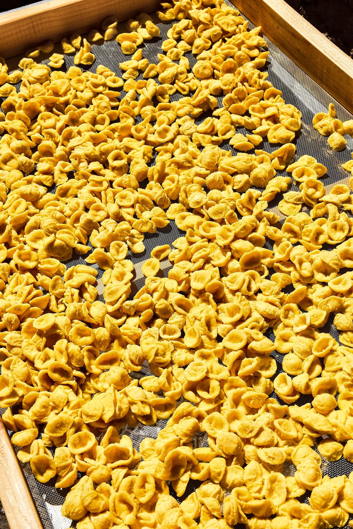 A tray of golden orecchiette drying in the sun