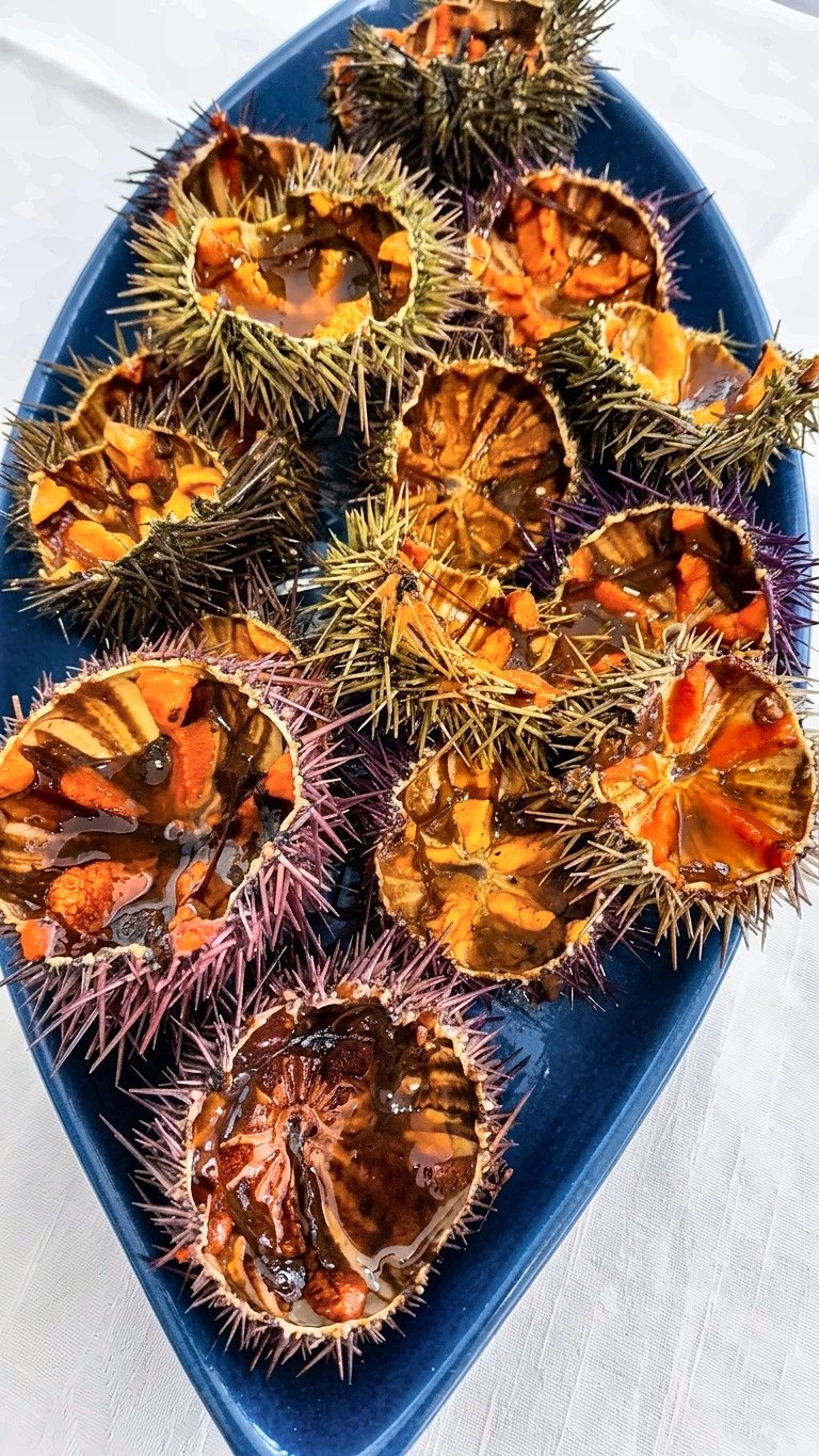Fresh sea urchins on a blue platter at Le Finestre sul Mare
