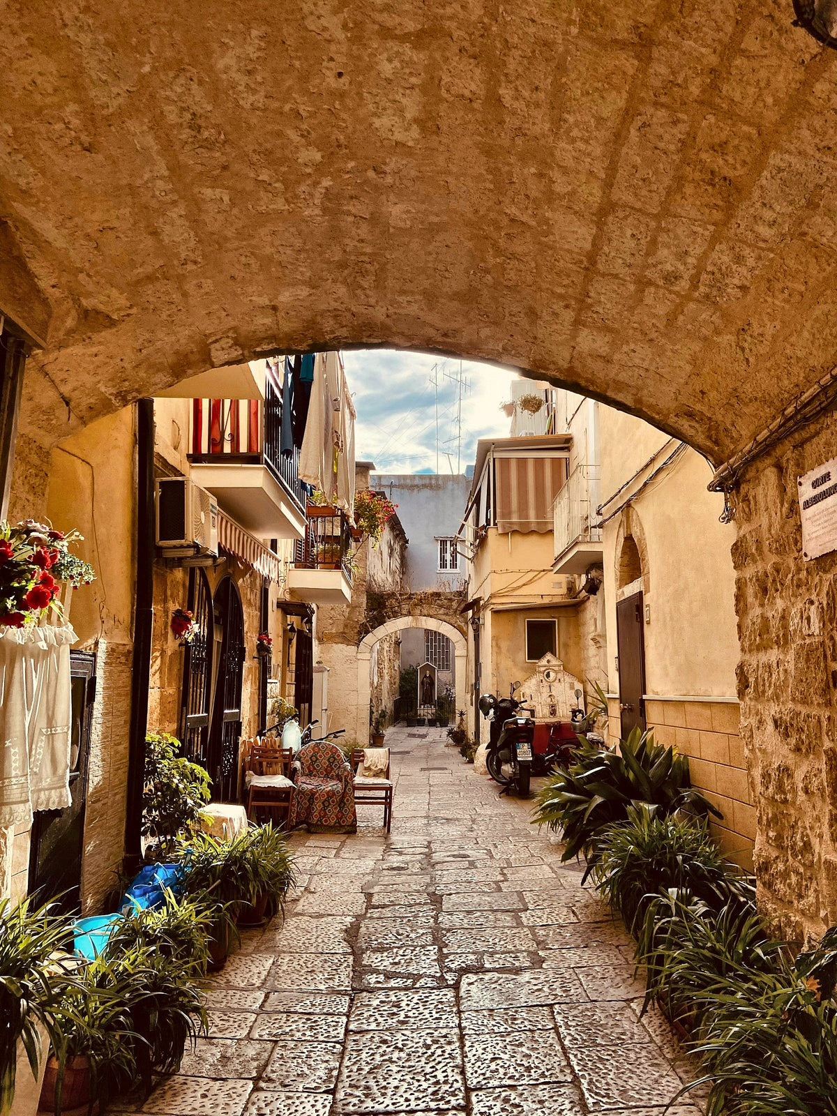 A stone arch opening onto a lane of Bari Vecchia lined with plants