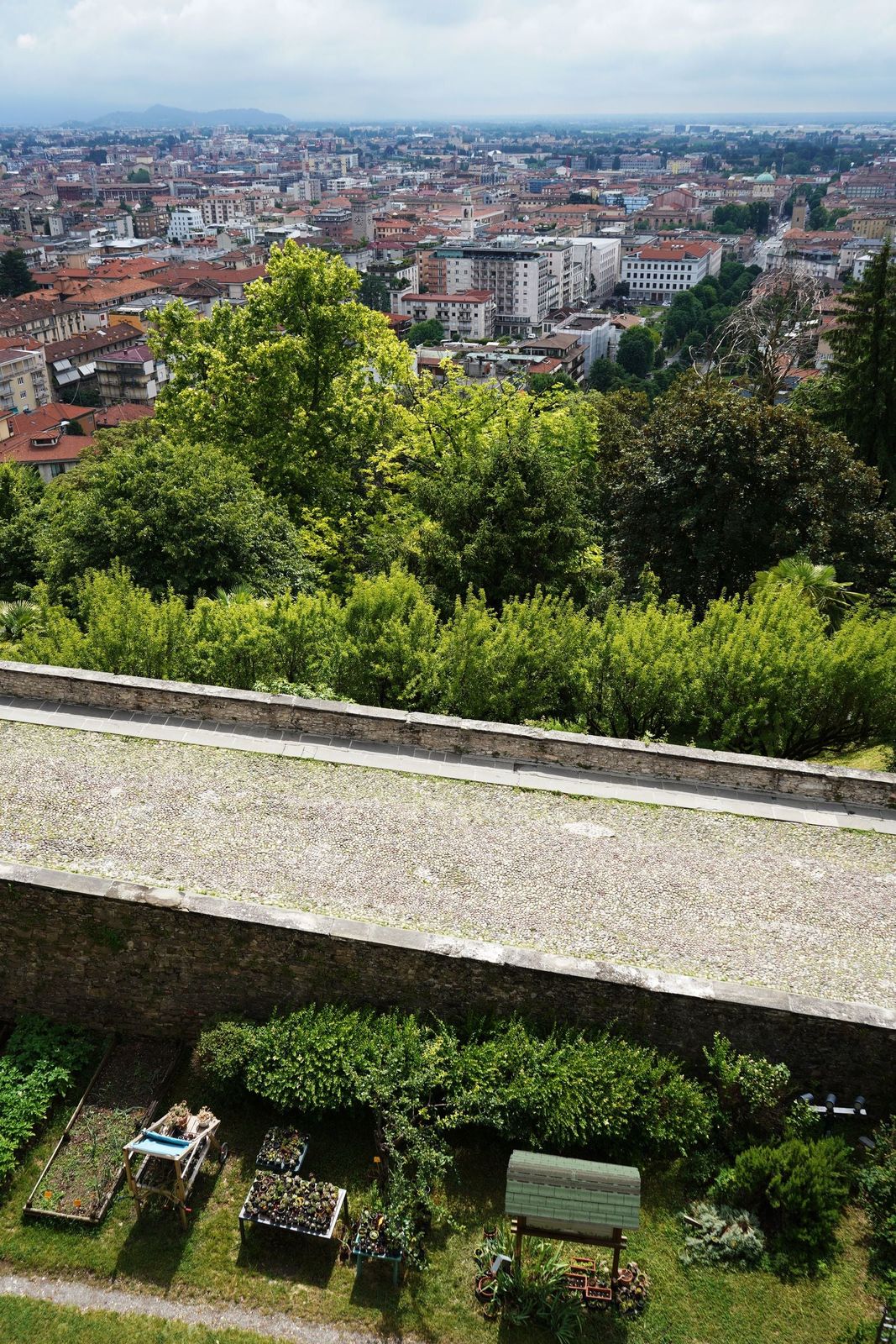 Greenery along the walls of the upper city