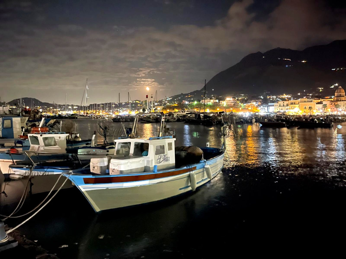 Fishing boats in an Ischia harbour under a rising moon