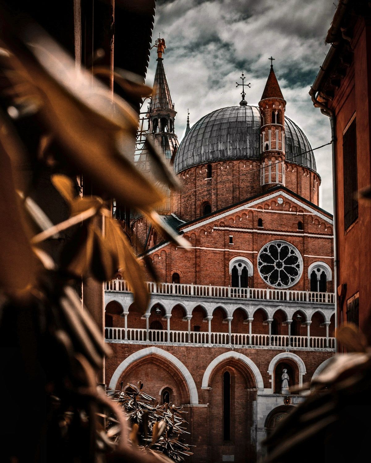 The Basilica of Saint Anthony framed by leaves in warm light