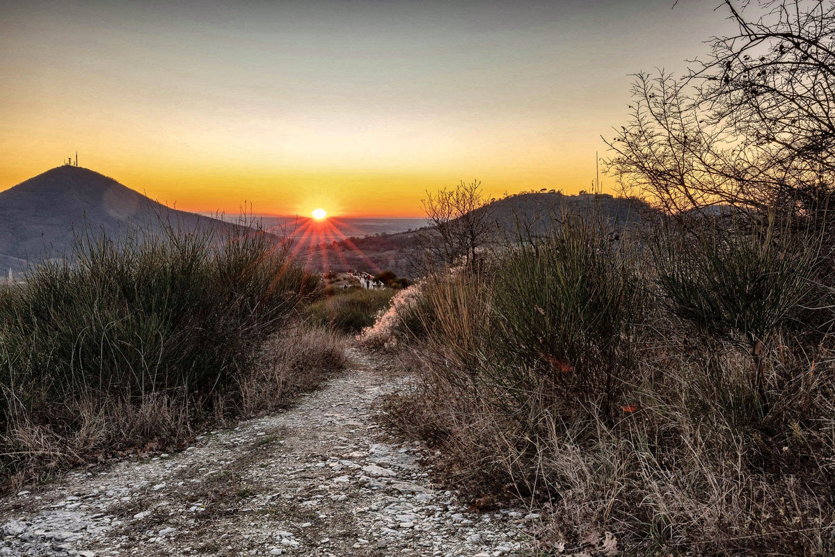 The last sun over the Po Valley seen from the Euganean Hills