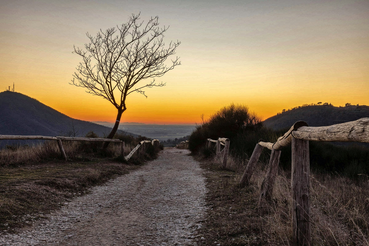 A winter hiking trail in the Euganean Hills at sunset