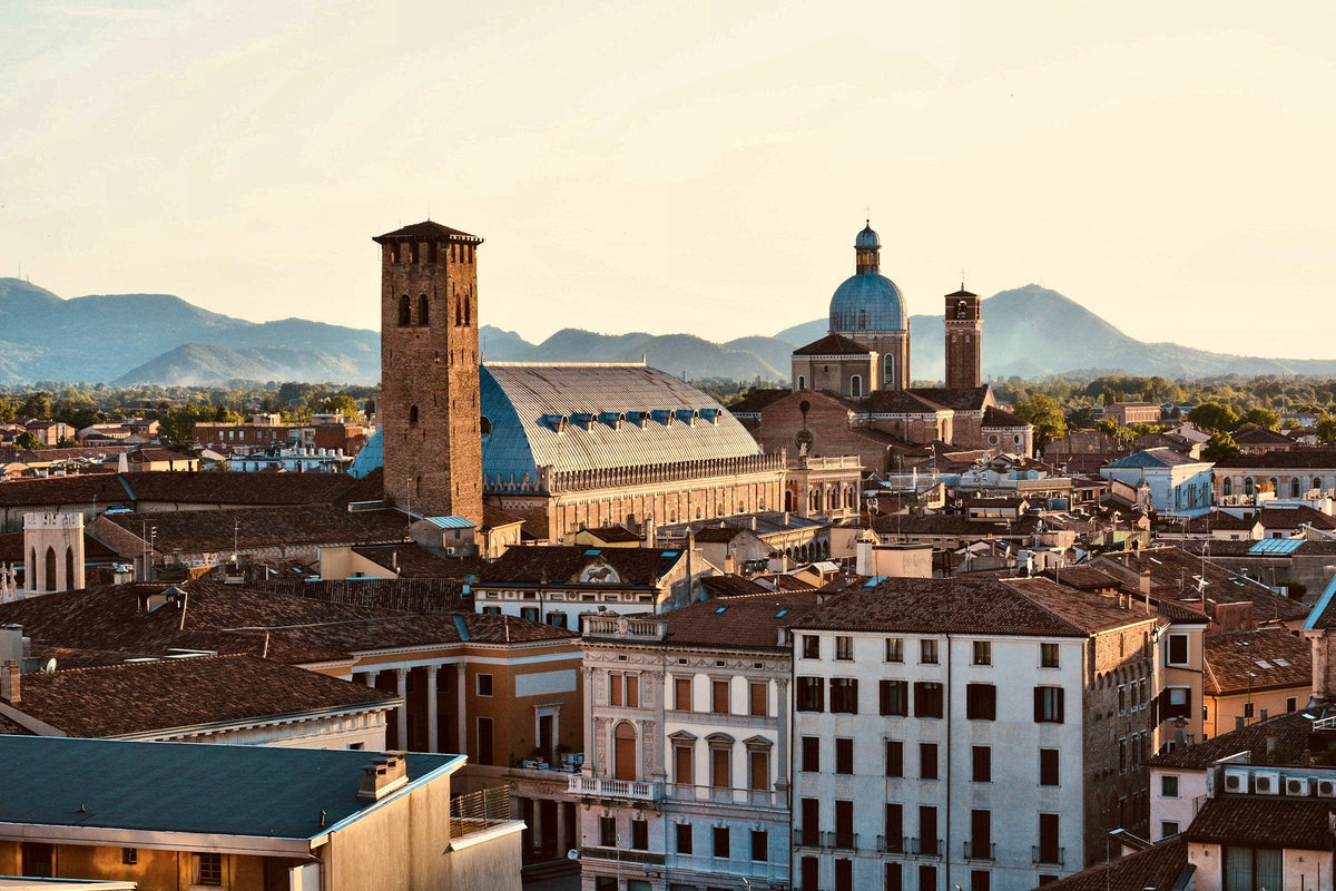 Rooftops, the Palazzo della Ragione and the Euganean Hills beyond