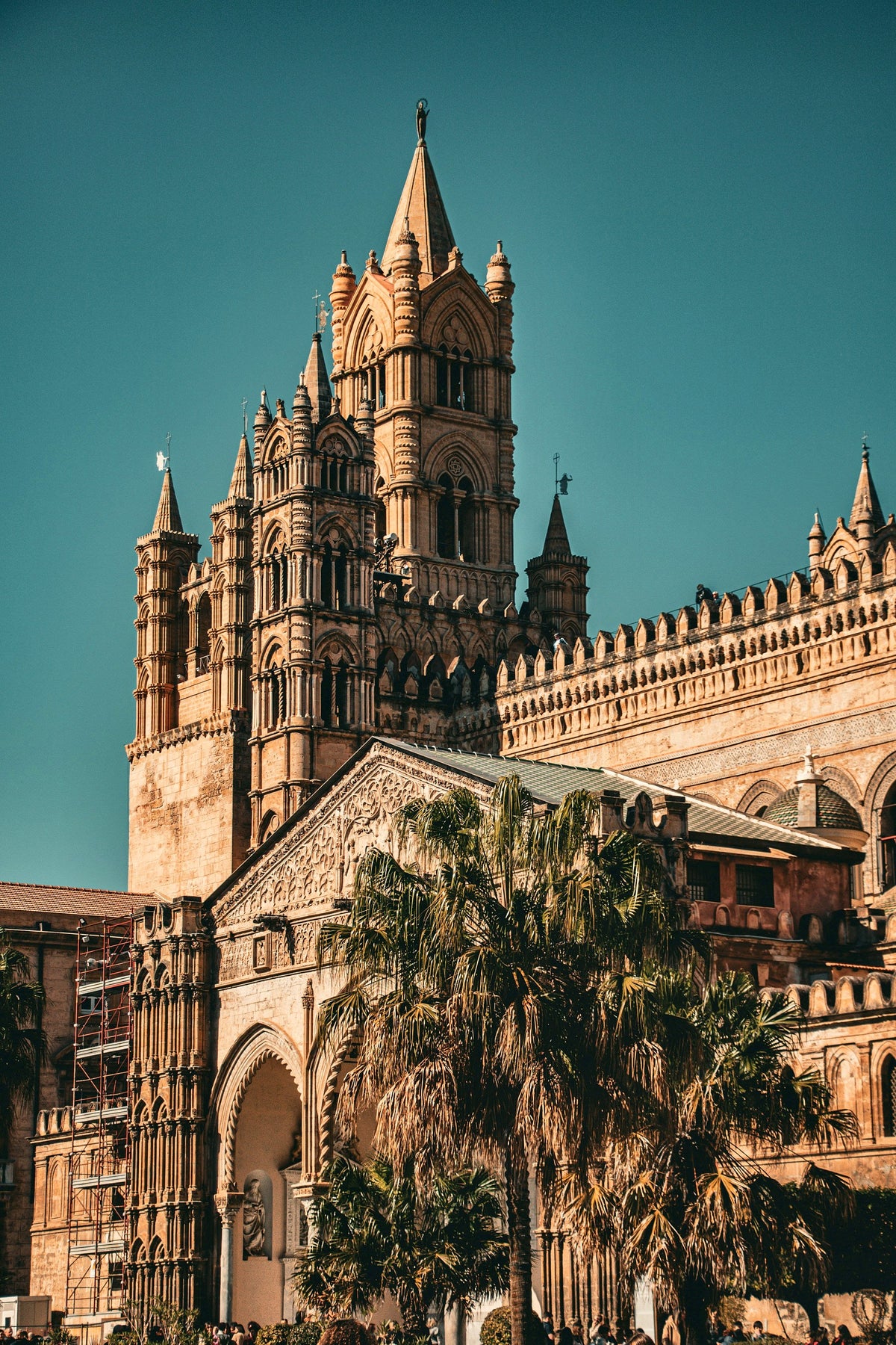 Palermo Cathedral rising above the palms of its garden
