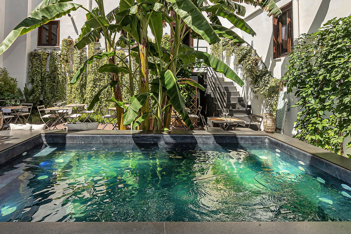 The courtyard plunge pool among banana plants at Casa Nostra Boutique Hotel