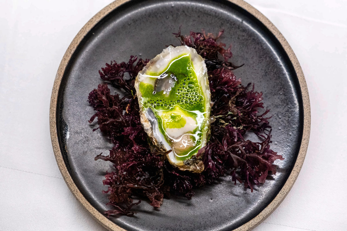 An oyster on a bed of seaweed at Gagini