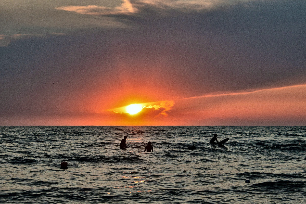 Surfers in the sea at sunset on the coast near Pisa