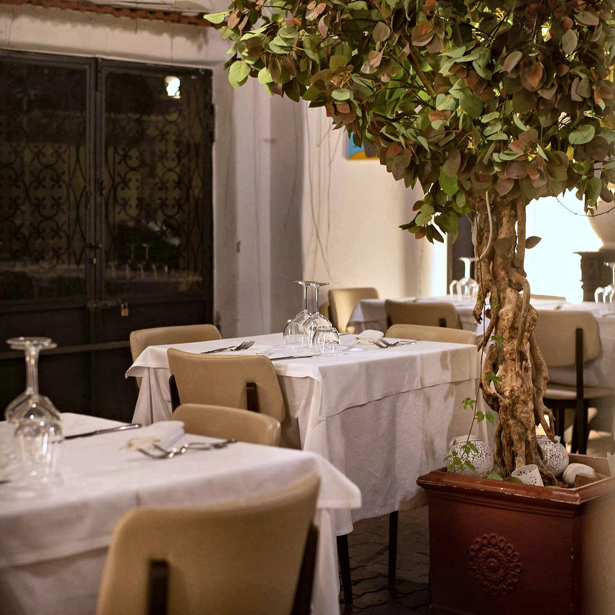 Tables under the tree in the dining room of La Pergoletta