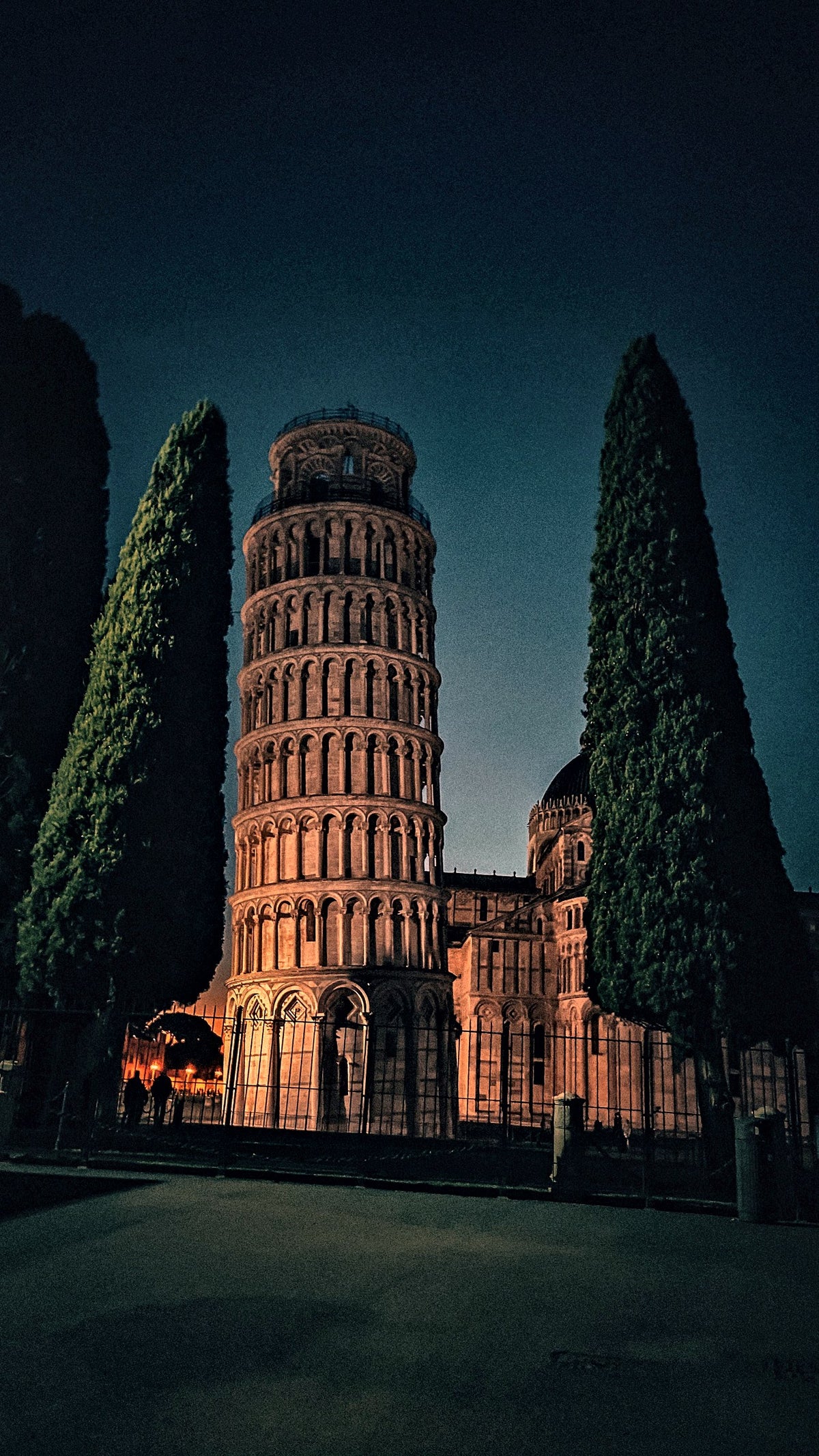 The leaning tower at night between the cypresses