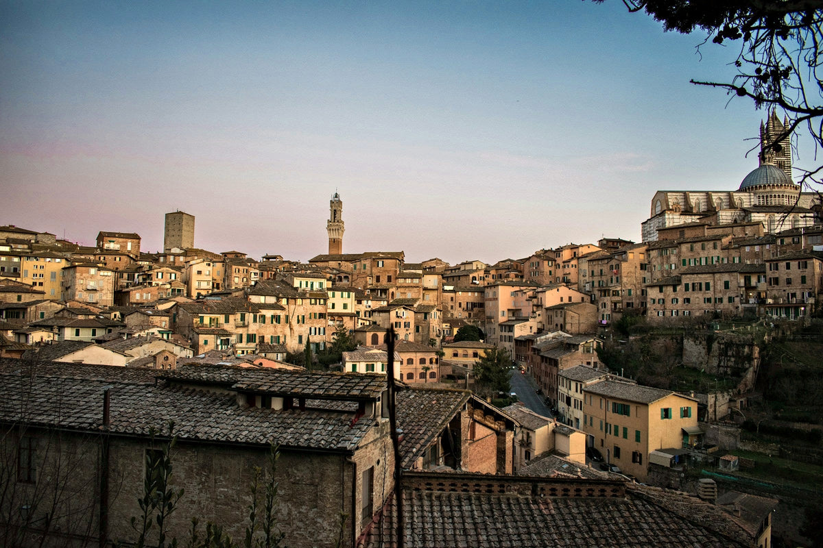 Dusk over the rooftops, Torre del Mangia and Duomo