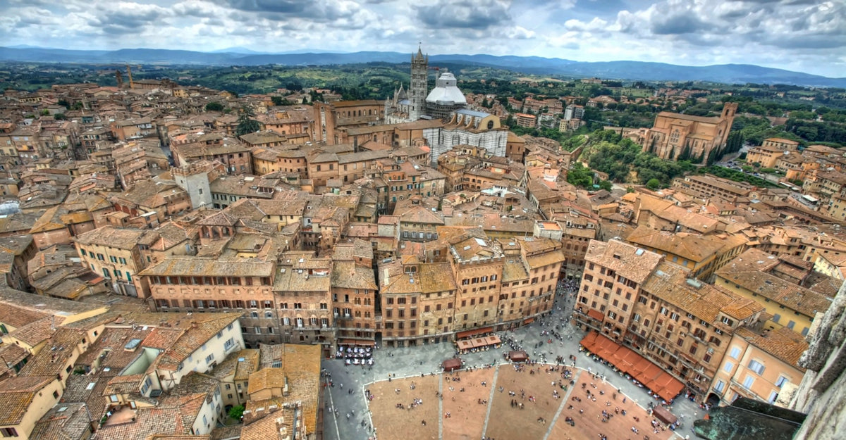 Siena and the Campo from the top of the Torre del Mangia