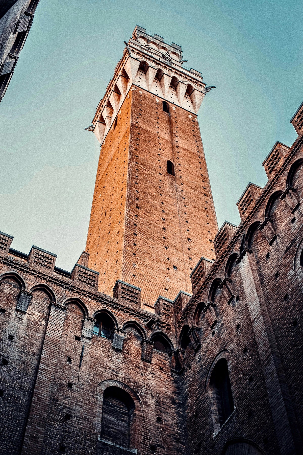 The Torre del Mangia above the Palazzo Pubblico