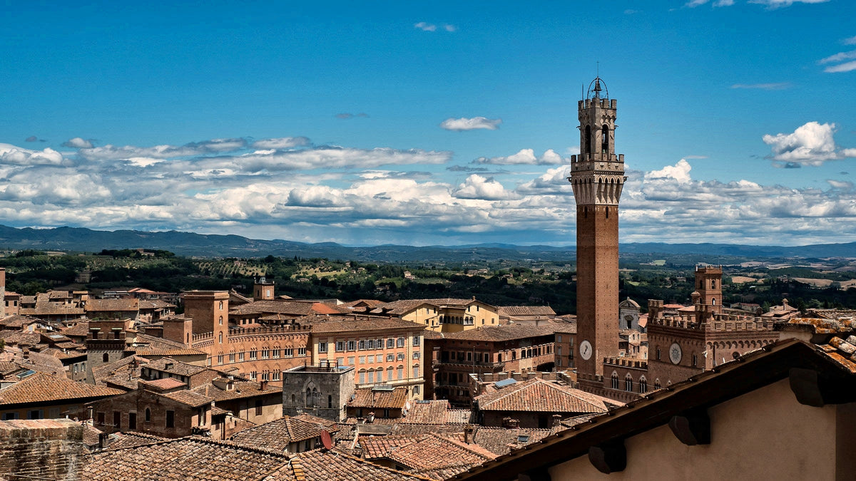 Torre del Mangia above a sea of rooftops