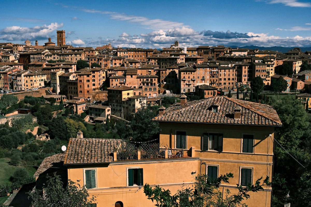 Late sun on the brick houses of the old town