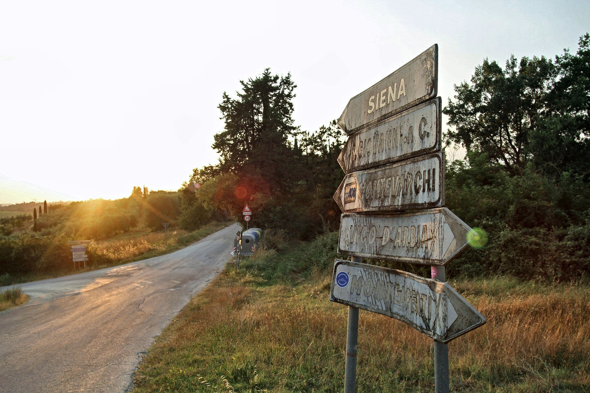 A country road signposted to Siena at sunset