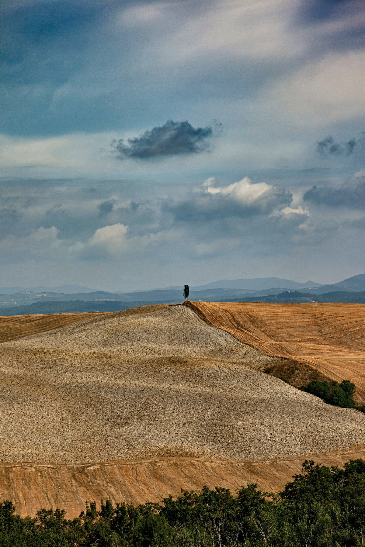 A lone walker on the clay hills of the Crete Senesi