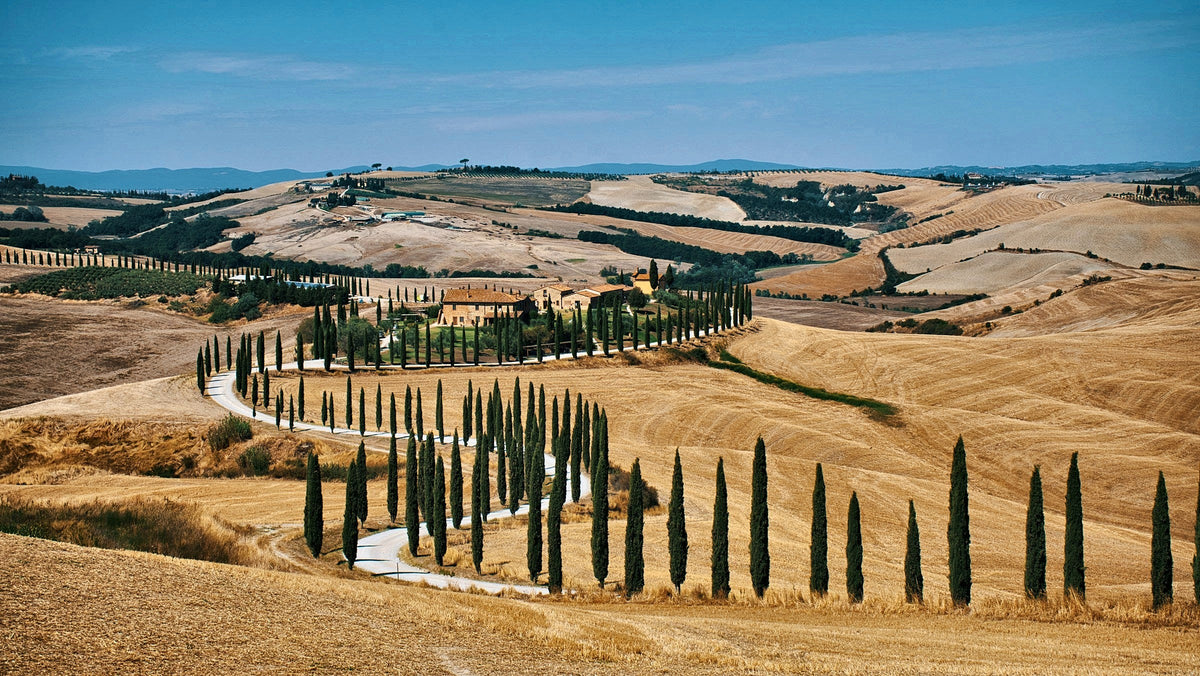 The cypress-lined road of the Val d’Orcia