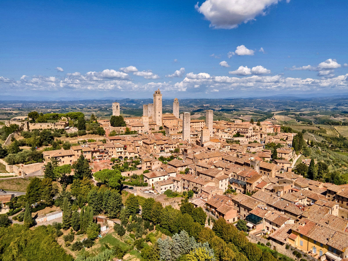 The towers of San Gimignano above the vineyards