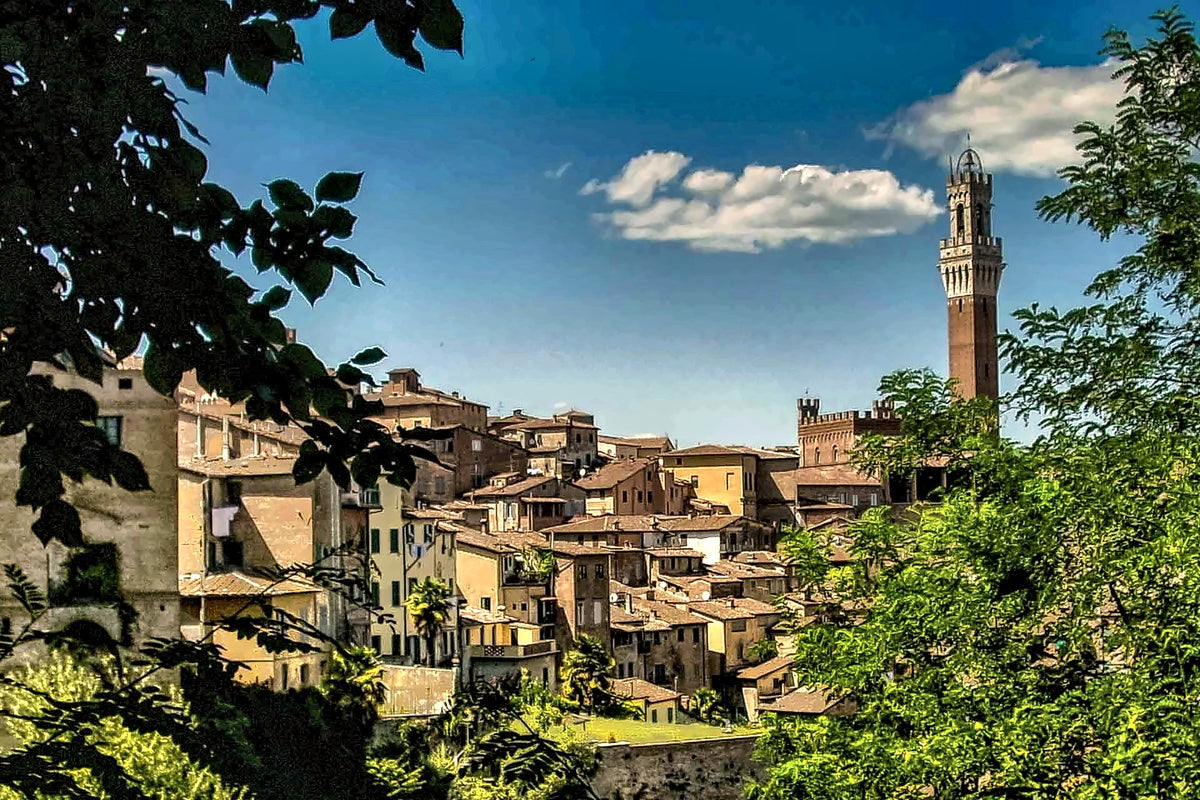 View over Siena rooftops to the Torre del Mangia from Hotel Duomo