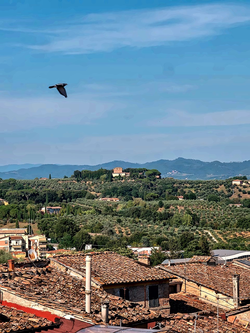 Rooftop view towards the hills from Torre del Fuggisole