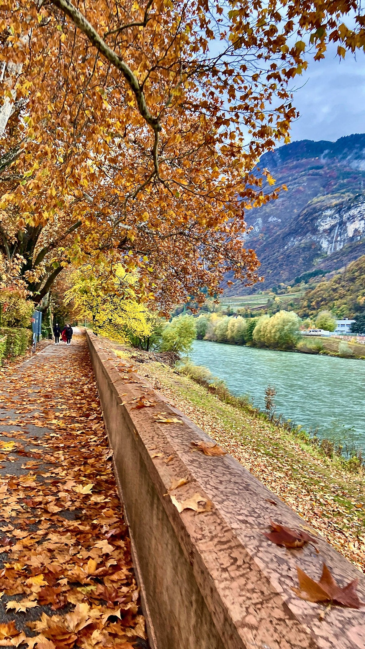 Autumn leaves along the Lungadige riverside walk