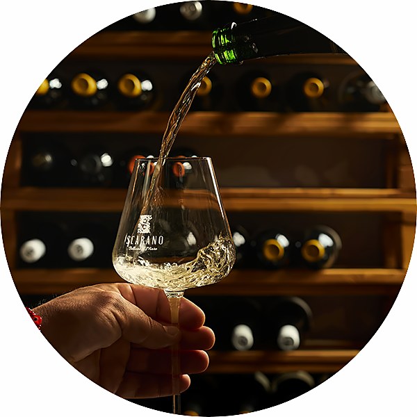 White wine and the wine wall at Bollicine