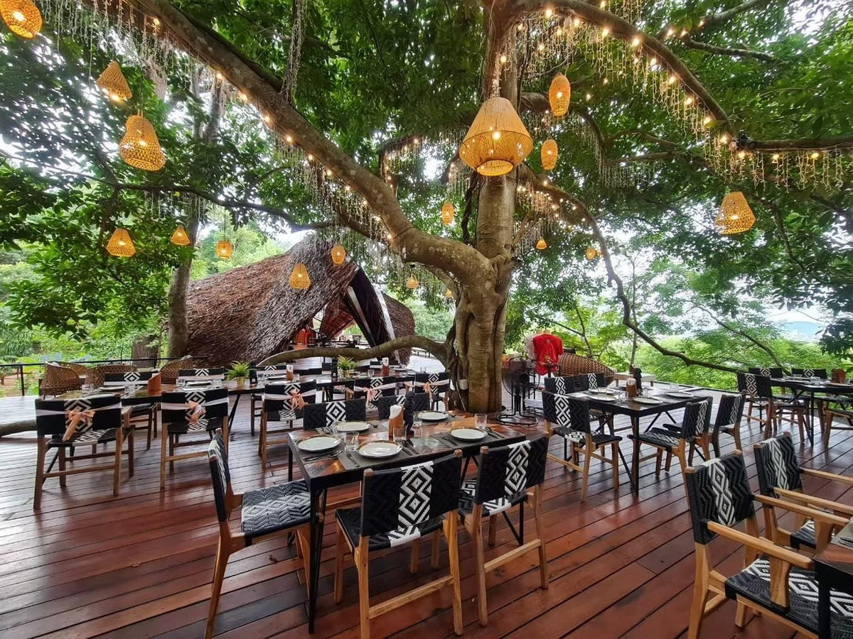 Deck tables beneath a large tree with hanging lanterns at Three Monkeys
