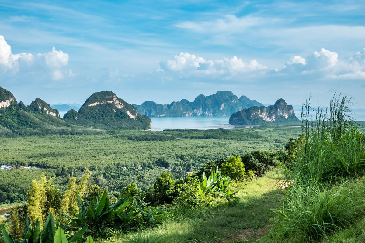 Limestone islands of Phang Nga Bay seen from a green hillside