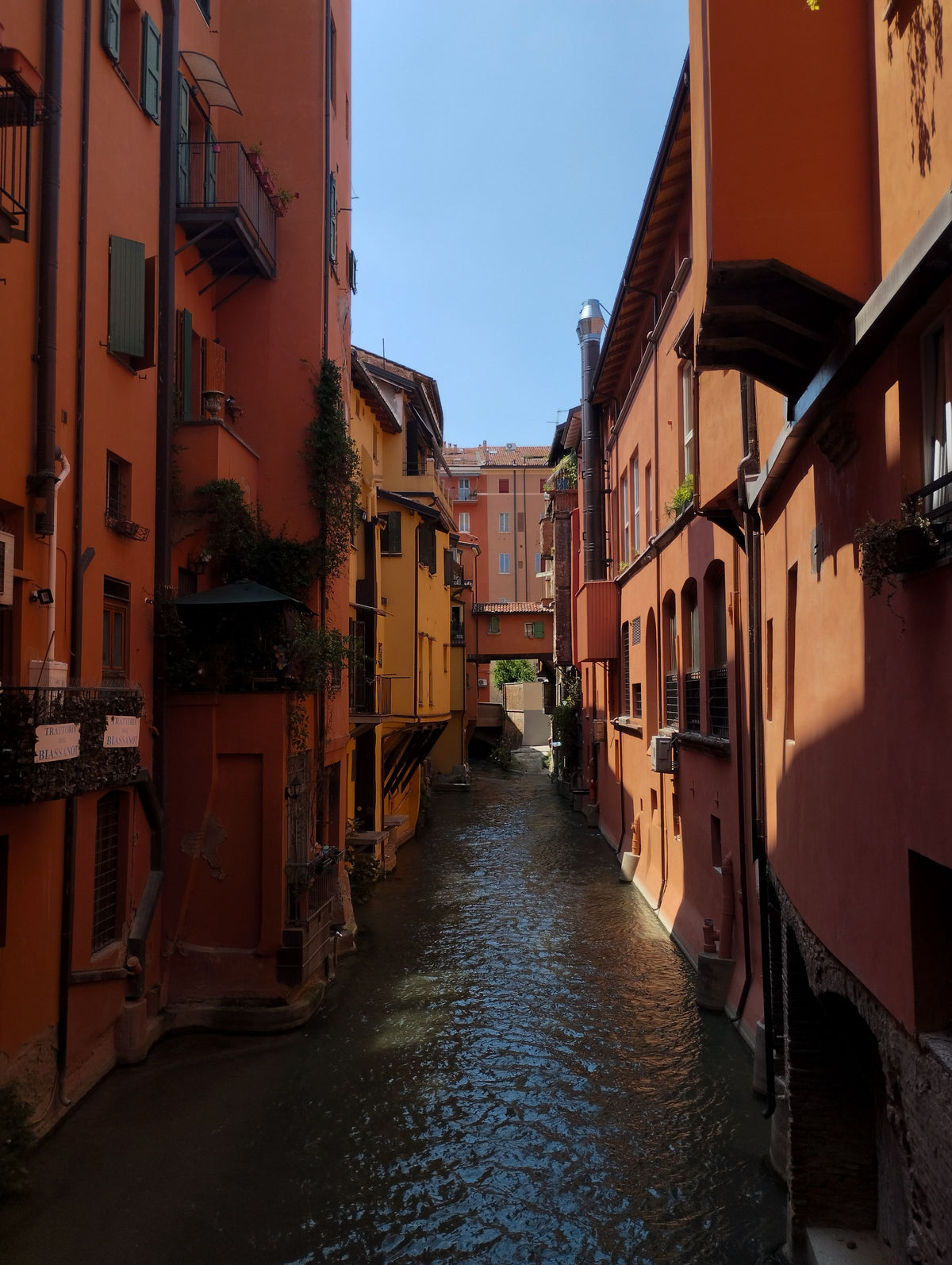 The sunlit Canale delle Moline between colourful houses