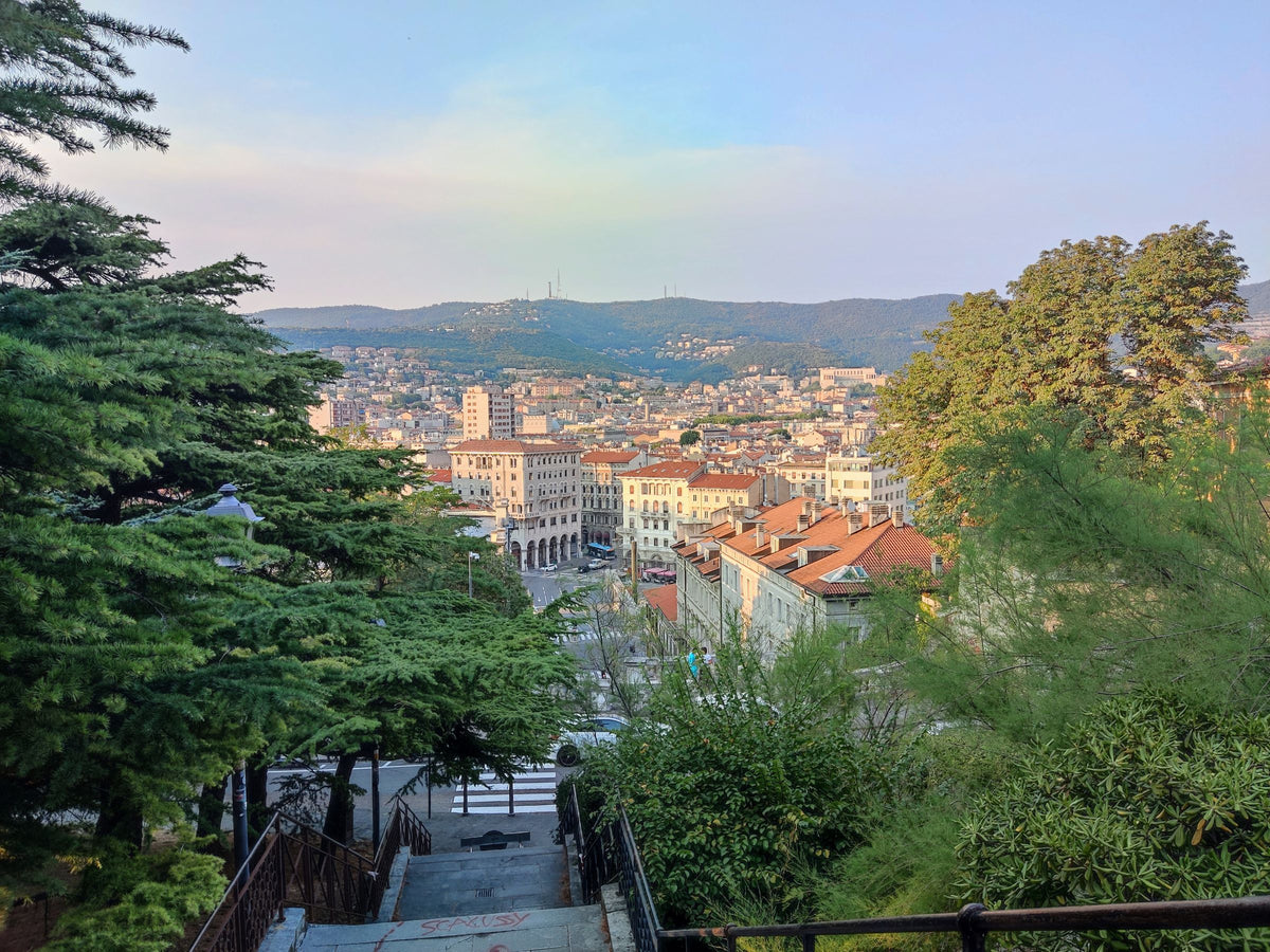 The city from the hillside steps